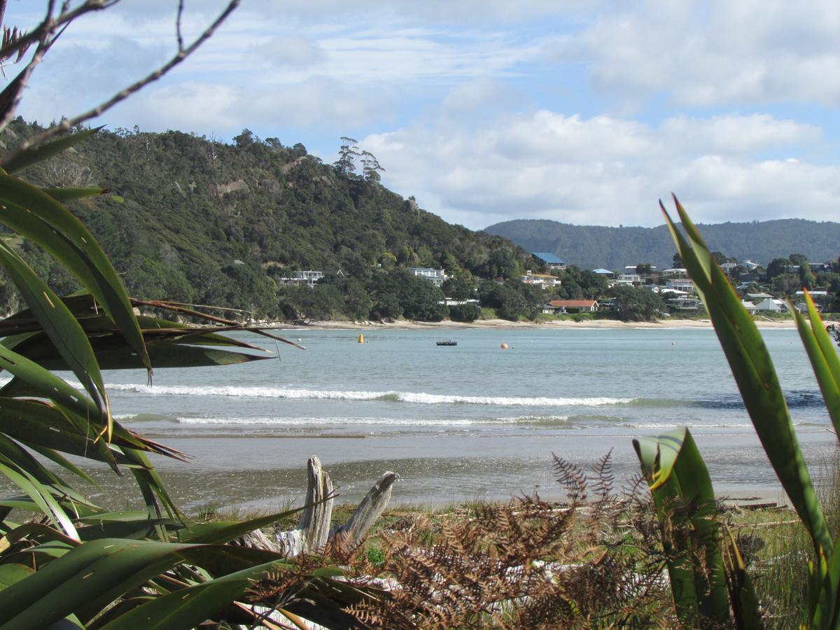 Flaxmill Cove B&B Whitianga Dış mekan fotoğraf